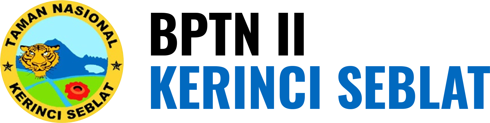 Bidang II